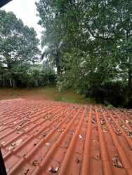 Bin Tong Park (D10), Detached #441820361
